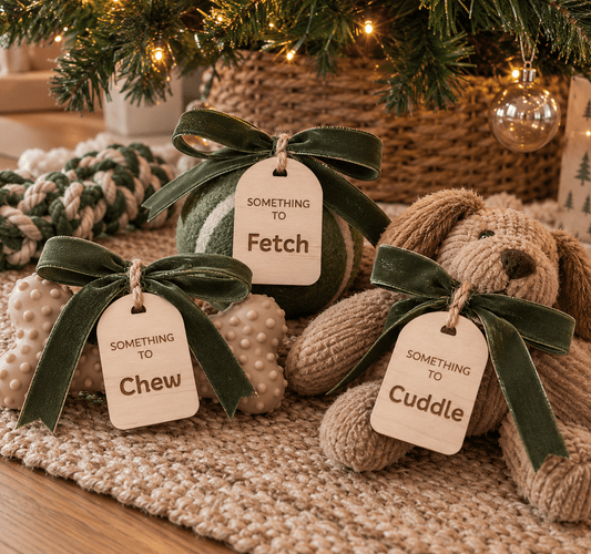 Pet Something To Gift Tags | Set of 3 - Notchd Studio